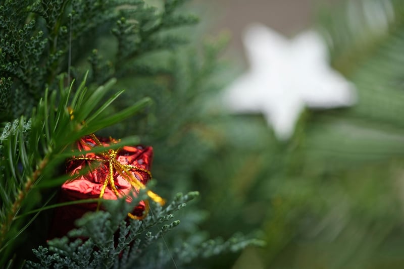 Star-studded Gifts